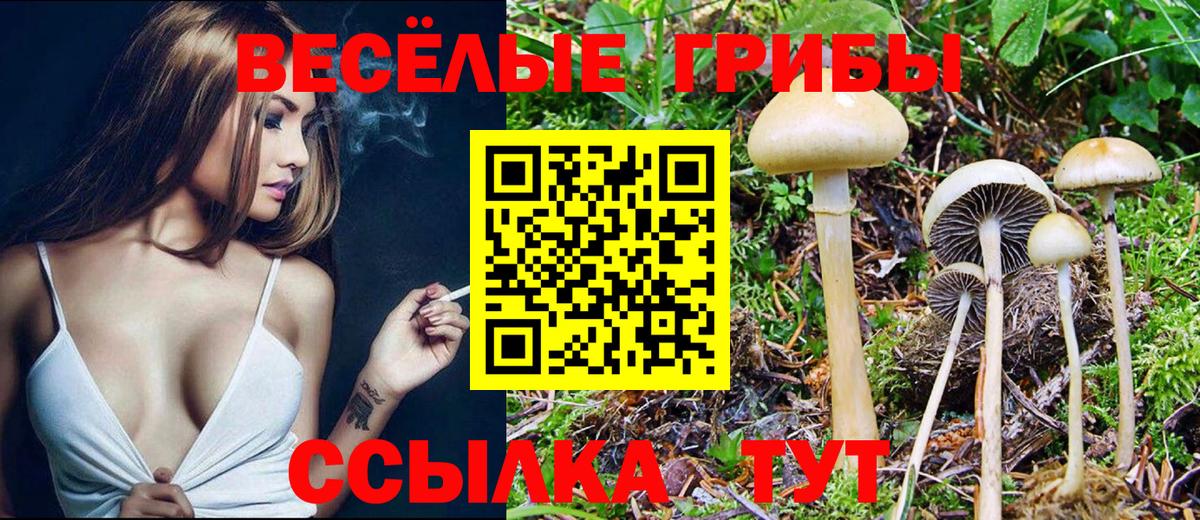 Ростов-на-Дону  Псилоцибиновые грибы Magic Shrooms  Галлюциногенные грибы прущие грибы  где купить наркоту  Вход с VPN 